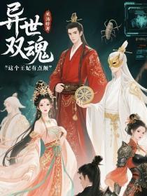 异世双魂这个王妃有点颠