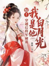 惊!穿越后将军硬说我是他白月光