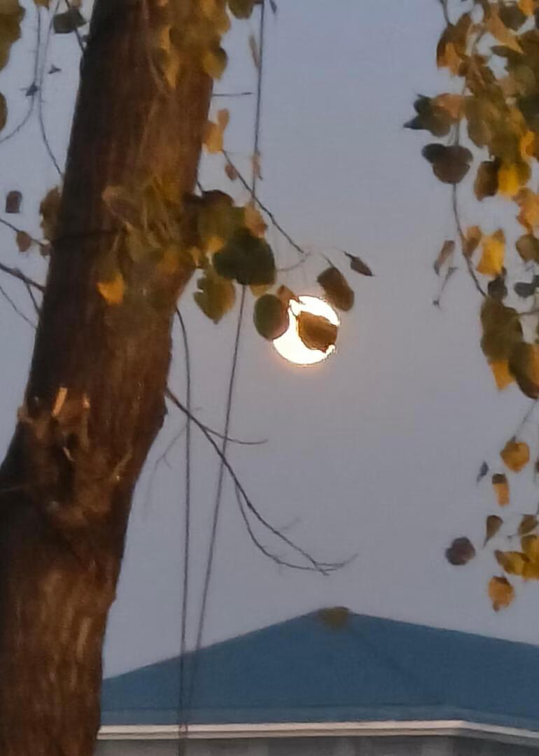 葬天棺武魂九大魂技